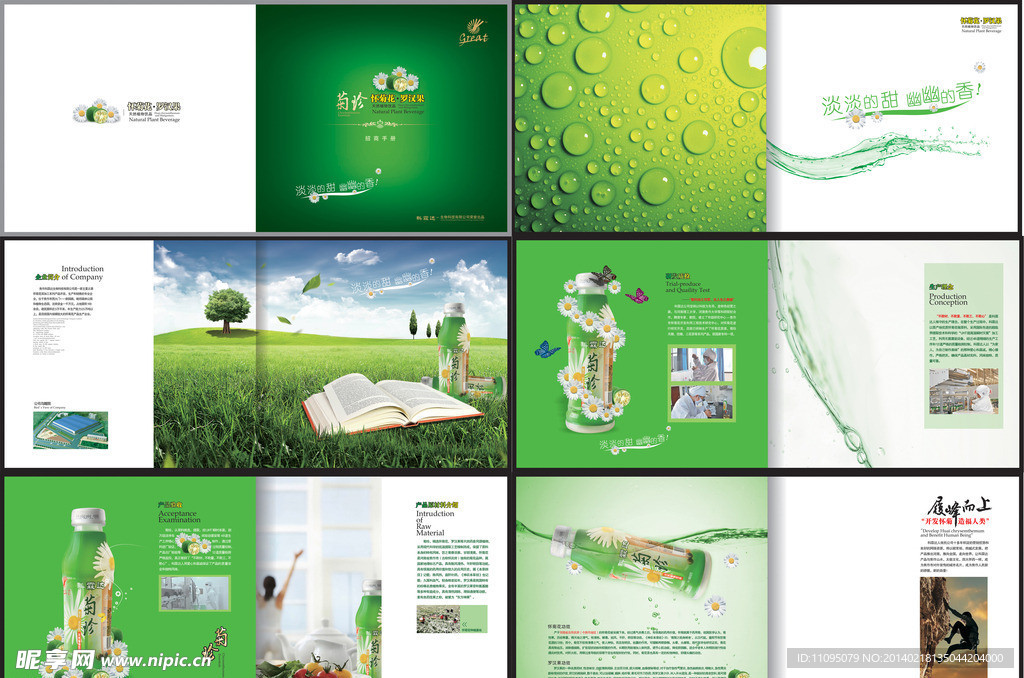 產(chǎn)品畫(huà)冊(cè)設(shè)計(jì) 從概念到視覺(jué)呈現(xiàn)的全面解析